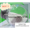 Herbicida de control de malezas Atrazina 97% TC 80% WP 50% SC 90% WDG CAS 1912-24-9 --- Lmj